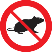 Rats & Mice removal